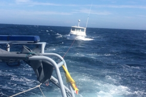 Warda Costa a asisti boto 'Fish Kraze' den problema riba laman