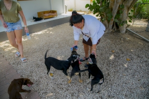 Riu Palace Aruba y Riu Palace Antillas cu donacion special na SGT Peppers Friends