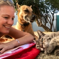 Veterinario ta lamenta caso di cacho cu a muri den afmaakhok 