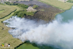 Potretnan ta mustra con parti di Bubali Plas a keda destrui