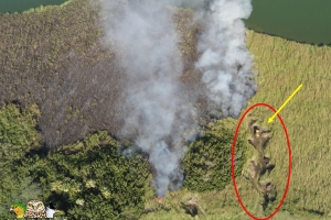 Potretnan ta mustra con parti di Bubali Plas a keda destrui