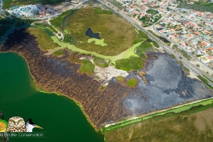 DNM: Area cu a kima ta refleha 19% di e total area di Bubali Plas