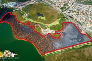 DNM: Area cu a kima ta refleha 19% di e total area di Bubali Plas
