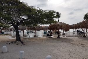 Laman bruto a subi tera na Eagle y Palm Beach diadomingo 