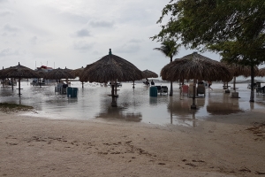 Laman bruto a subi tera na Eagle y Palm Beach diadomingo 