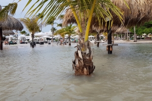 Laman bruto a subi tera na Eagle y Palm Beach diadomingo 