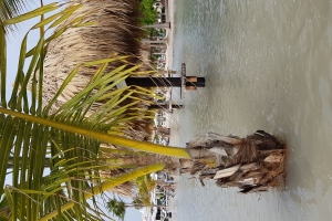 Laman bruto a subi tera na Eagle y Palm Beach diadomingo 