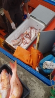 Polis Maritimo a intercepta lancha Venezolano piscando
