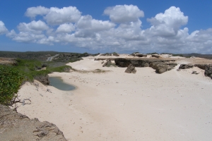 DNM: No ta permiti pa core auto y otro vehiculo riba beach di Aruba    