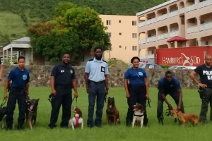 Team di KIA Aruba a entrena cachonan pa listra placa pa Sint Maarten