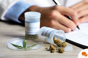 Ricardo Croes: Legalisacion di cannabis medicinal ta na caminda 