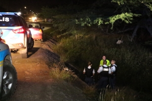 Polis ta para chauffeur burachi cu despues ta cay den rooi