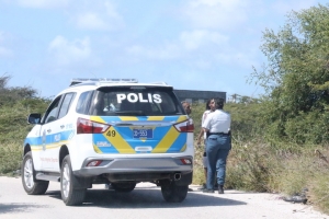 Polis ocupa cu varios pelea den weekend