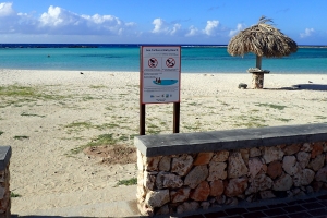Borchinan di concientisacion pa cu Turtuganan poni na Baby Beach