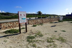 Borchinan di concientisacion pa cu Turtuganan poni na Baby Beach
