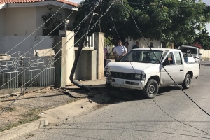Chauffeur a blackout tras di stuur y dal den palo di luz