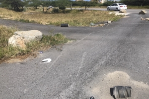 Bestia den auto a causa cu dama a bolter cu auto riba Sasakiweg