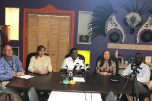 12 grupo cu 11 mil participante den parade di Flambeu diasabra 