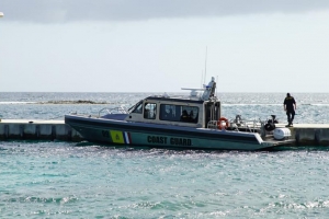 Warda Costa di Aruba a test e 4 Metal Sharksnan diamars
