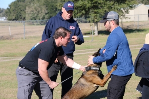 Training Arubano pa cacho di polis Mericano