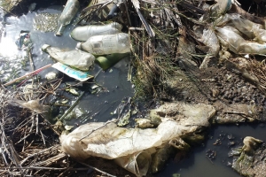 DNM: Scohe pa un calidad di bida sin plastic di un solo uzo