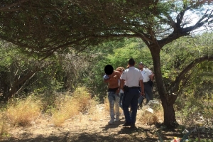 Caso di hincamento den cercania di EPB Hato merdia