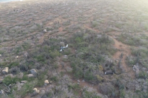 E avioneta Piper accidenta a keda casi intacto despues di impacto