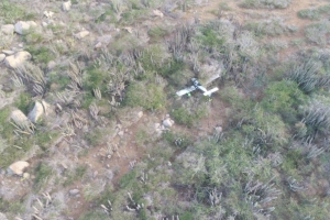 E avioneta Piper accidenta a keda casi intacto despues di impacto