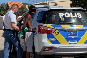 Polis a detene hoben cu a bati su propio ruman muhe 