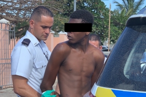 Polis a detene hoben cu a bati su propio ruman muhe 