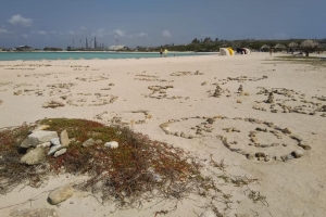 DNM a raporta caso di eco vandalismo na Baby Beach