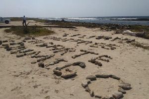 DNM a raporta caso di eco vandalismo na Baby Beach
