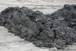 Gobierno decepciona cu proceso pa trata sludge na Parkietenbos