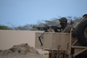Arestatieteam y Cuerpo di Mariniers a mustra nan capacidad durante opendag