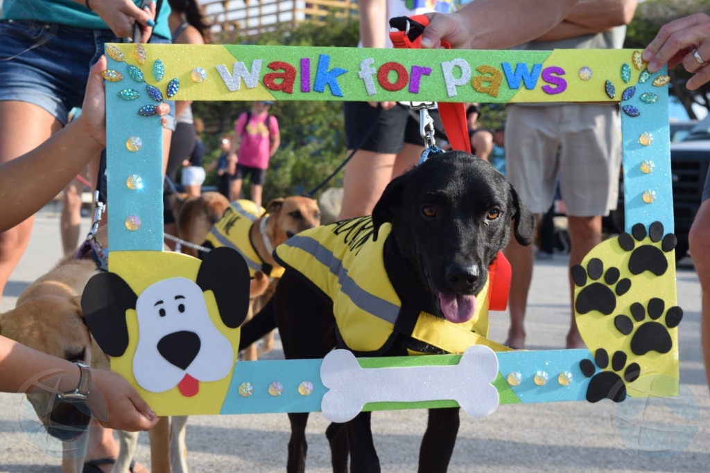 NoticiaCla Walk For Paws a surpasa tur expectativa