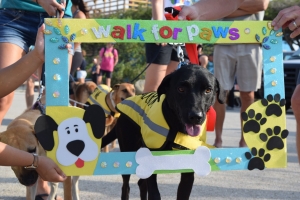 Walk For Paws a surpasa tur expectativa