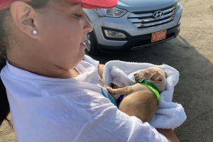 Walk For Paws a surpasa tur expectativa