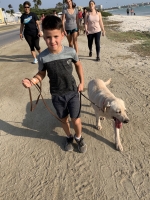 Walk For Paws a surpasa tur expectativa