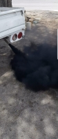 Control di polis ariba vehiculo cu ta saca huma preto