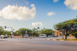 Construccion di rotonde L.G. Smith Blvd banda di Guardian