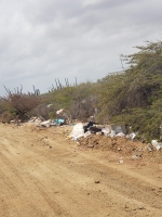 Polis a tuma accion riba dumpnan illegal rond di Aruba  