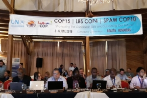 Aruba a participa na Conferencia di partidonan (COP15) di UNEP   