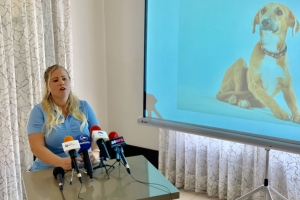 Fundashon Stimami Sterilisami a start su campaña di sterilisacion 2019- 2020