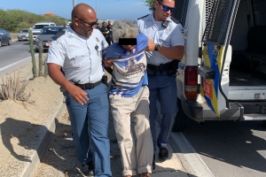 Polis a detene dama cu a horta autobus
