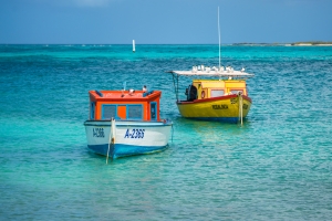 Parke Marino Aruba den fase transitorio