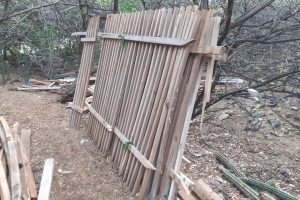 DIP a constata construccion illegal den besindario di Bucutiweg  