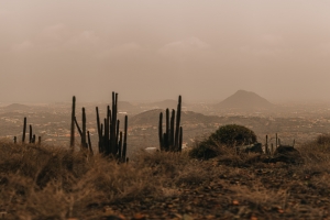 E stof di Sahara a cubri henter isla di Aruba dialuna 