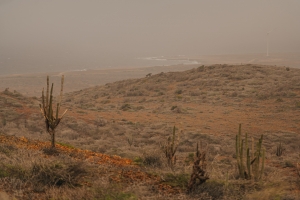 E stof di Sahara a cubri henter isla di Aruba dialuna 
