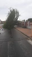 E yobida di diasabra na Aruba a causa basta problema 