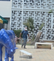 Pueblo dunando oido pa bisti mondkapje caba, aunke no ta obligatorio